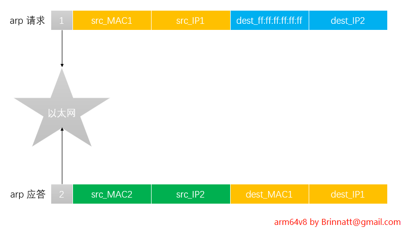 arp req-rep