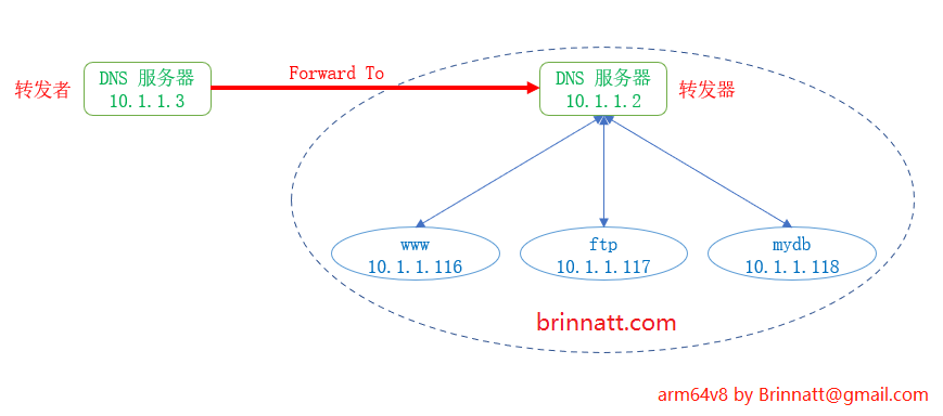 dns forward