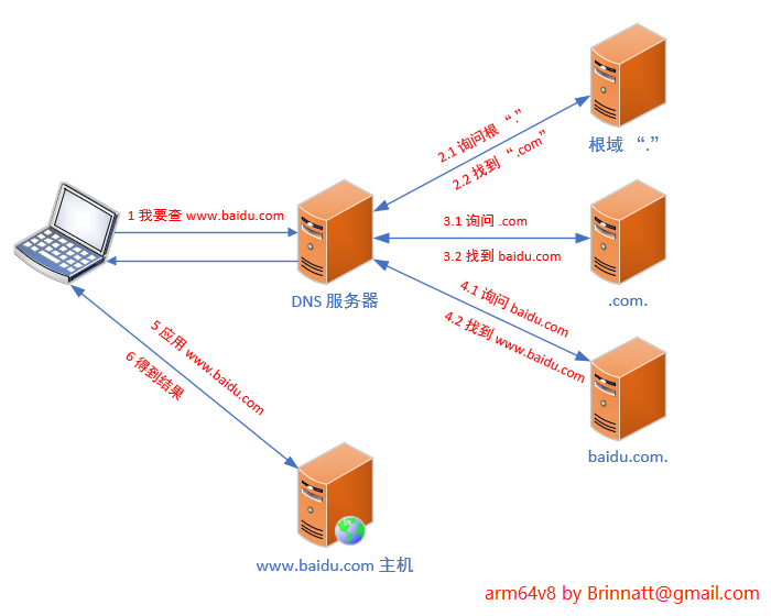 dns search