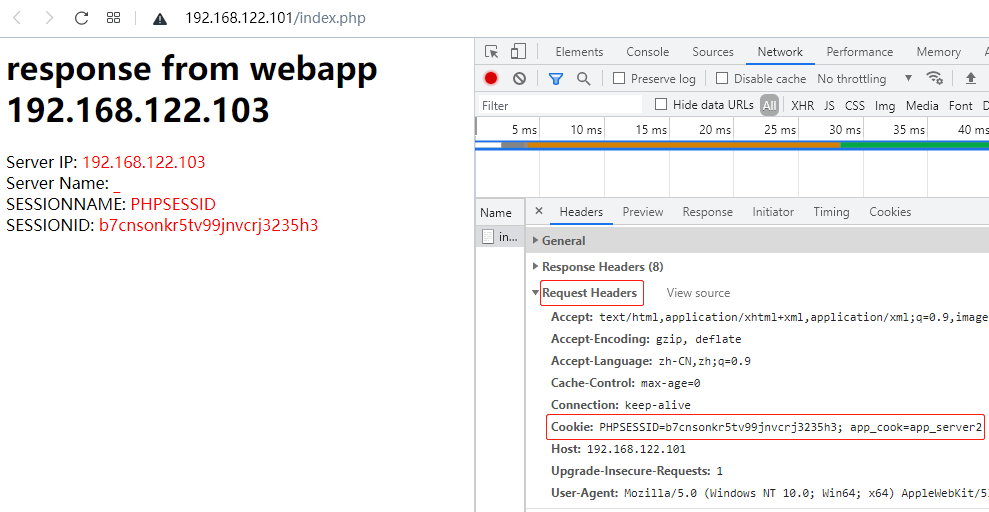 haproxy cookie detail2