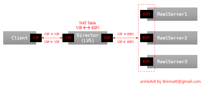 lvs nat